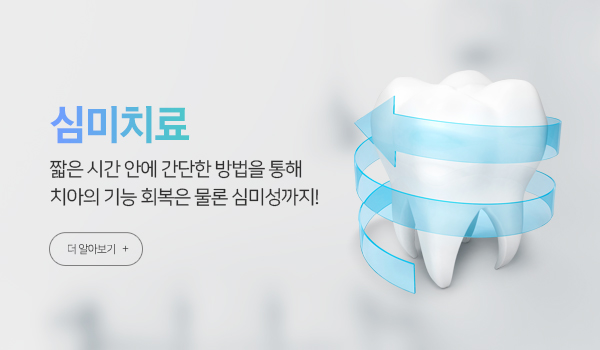 심미치료